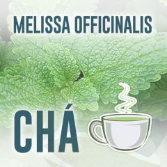 MELISSA OFFICINALIS 15g - CHA