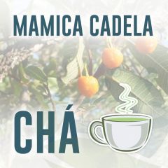 MAMICA DE CADELA 30g - CHA